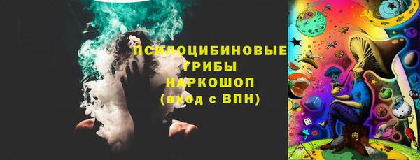 таблы Бородино